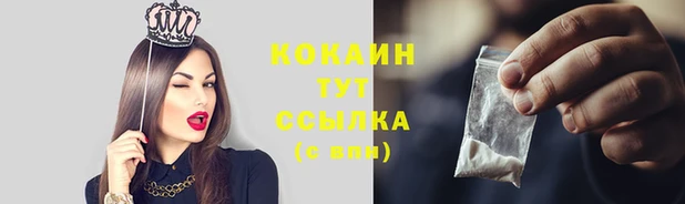 дмт Кулебаки