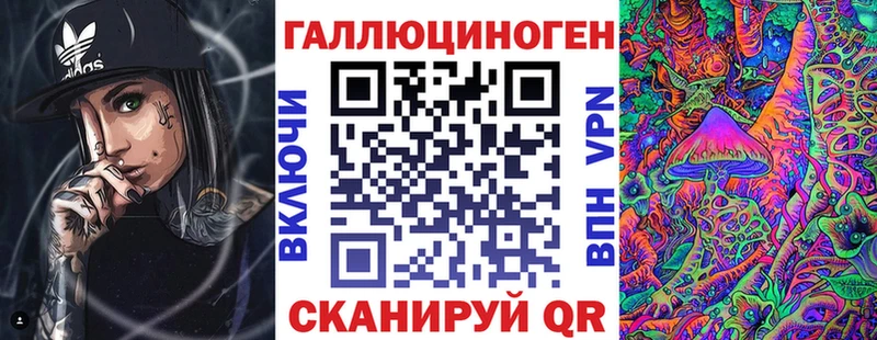 дарнет шоп  Сясьстрой  Псилоцибиновые грибы GOLDEN TEACHER 